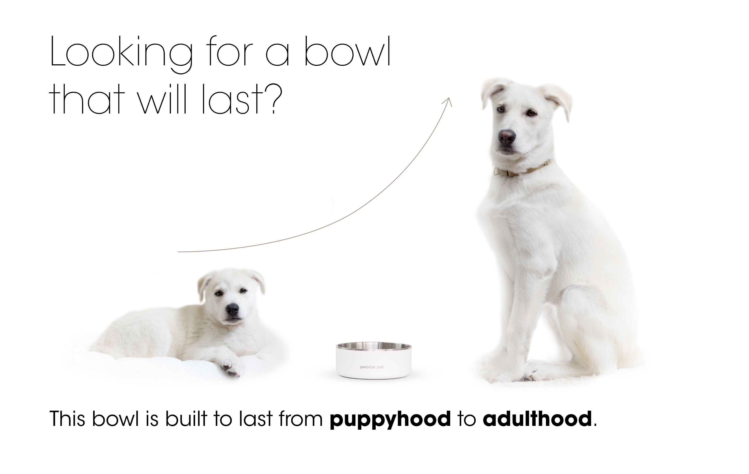 Human-grade Stainless Steel Pet Bowl