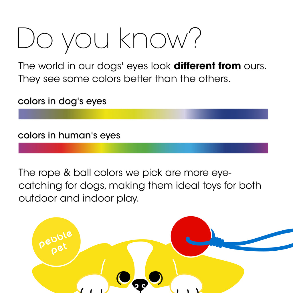 Rope & Ball Gift Set