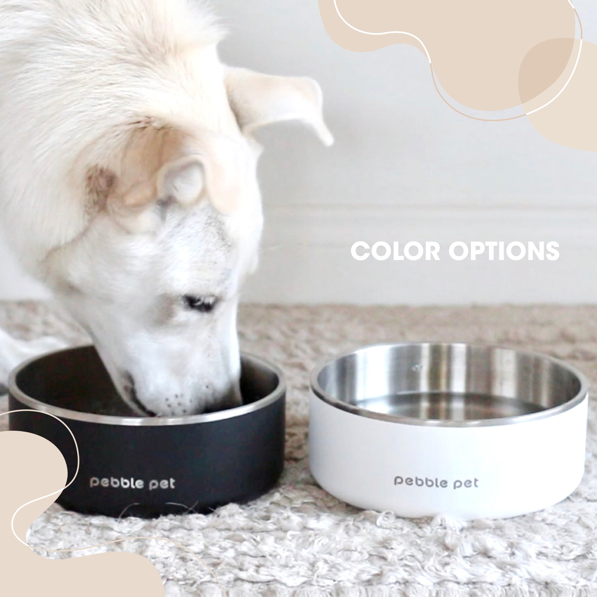 Human-grade Stainless Steel Pet Bowl