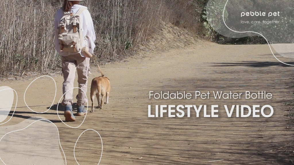 Foldable Pet Water Bottle 10oz